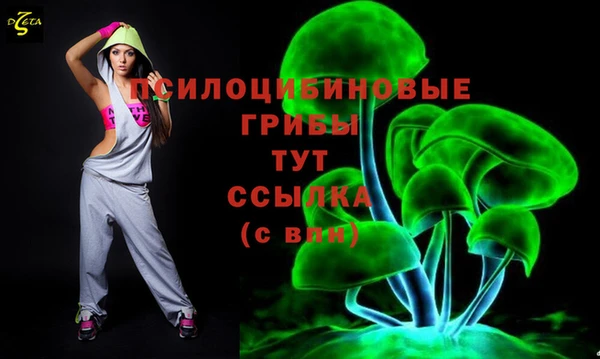 прущие крисы Балахна