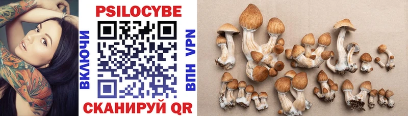 Псилоцибиновые грибы MAGIC MUSHROOMS  цены наркотик  Губаха 